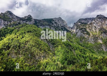 Ein malerischer Blick auf einen Berggipfel, umgeben von Bäumen, mit einem wolkigen Himmel im Hintergrund Stockfoto