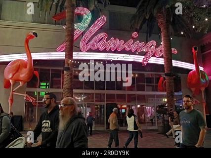 Das Flamingo Las Vegas Hotel and Casino bei Nacht mit Leuten draußen auf der Straße in Las Vegas, Nevada, USA. Stockfoto