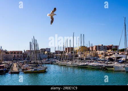 Der Hafen von Bisceglie hat einen wunderschönen Touristenhafen - Bisceglie, Apulien, Italien Stockfoto