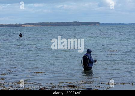 Angler im Wasser, Ostsee, Habernis, Steinberg, Schleswig-Holstein, Deutschland Stockfoto