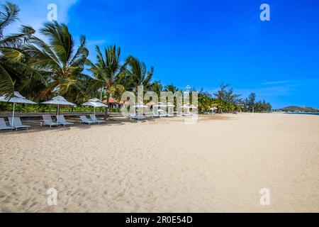 Strand mit Sonnenschirmen und Sonnenliegen, Hotel Saigon Ninh Chu Resort, Phan Rang, Südchinesisches Meer, Provinz Ninh Thuan, Phan Rang, Vietnam Stockfoto