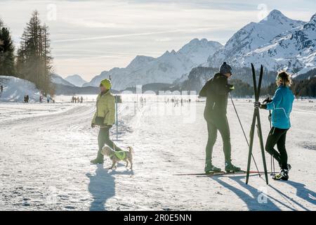 Schweiz, Engadin, Sils-Maria: Skilanglauf am Lake Sils Stockfoto