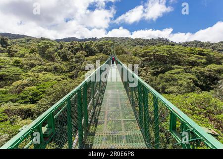 Eine Hängebrücke über die Baumwipfel im Selvatura Park, Monteverde, Costa Rica, Mittelamerika Stockfoto