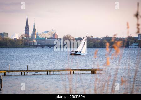 Blick auf die Hamburger Skyline mit Segelbooten im Vordergrund, Deutschland Stockfoto