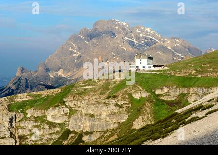 Baumbindungen, Südtirol, Sesto Dolomiti Alpen, Italien (Tre Cime di Lavaredo), Three Peaks, Südtirol, Sesto Dolomiten, Italien Stockfoto