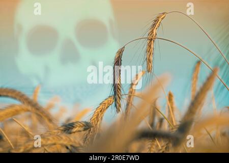 Zur Veranschaulichung von Giften in der Landwirtschaft Stockfoto