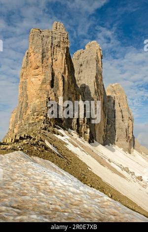 Baumbindungen, Südtirol, Sesto Dolomiti Alpen, Italien (Tre Cime di Lavaredo), Three Peaks, Südtirol, Sesto Dolomiten, Italien Stockfoto