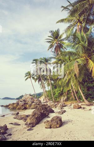 Strand mit Palmen (Guadeloupe, Karibik) Stockfoto