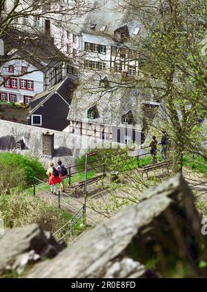 Blick über Monschau, Eifel, Deutschland Stockfoto