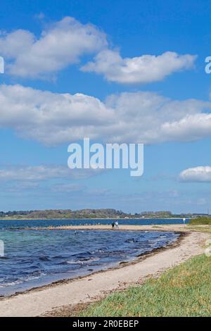 Landzunge, Strand, nördlichste Spitze des deutschen Festlands mit Blick auf Dänemark, die Ostsee, die Halbinsel Holnis, Schleswig-Holstein, Deutschland Stockfoto