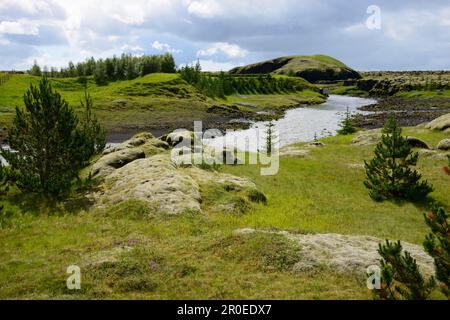 Landschaft, F206, Kirkjubaerjarklaustur, Island Stockfoto
