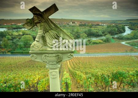 Kreuzung, Weinberge in der Nähe von Volkach-Escherndorf, Nordheim im Hintergrund, Franken, Bayern, Deutschland Stockfoto