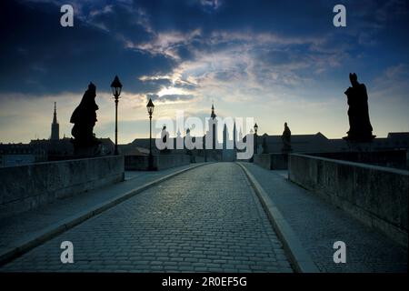 Alte Steinbrücke über den Main in Würzburg, Franken, Bayern, Deutschland Stockfoto