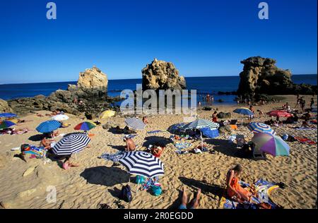 Sonnenschirme am Strand unter blauem Himmel, Praia Coelha, in der Nähe von Albufeira, Algarve, Portugal, Europa Stockfoto