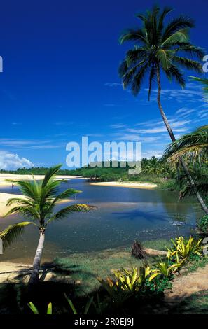 Palm Beach, Rio da Barra, Arraial D´Ajuda, Bahia, Brasilien Stockfoto