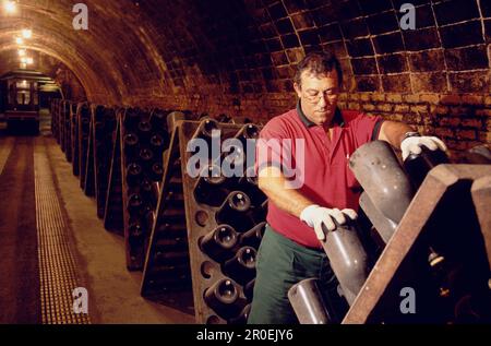 Man dreht Flaschen, Cava Cellar Methode Champenoise, Codorniu, Sant Sadurni d'Anola, Katalonien, Spanien Stockfoto