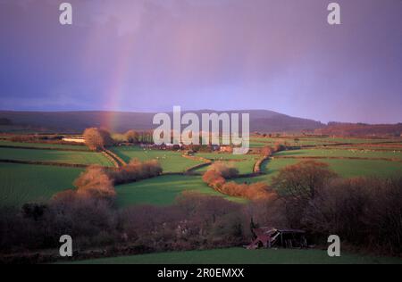 Idyllische Landschaft mit Regenbogen, West Dartmoor, Devon, England, Großbritannien, Europa Stockfoto