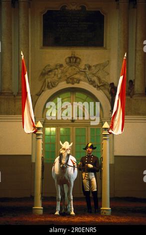 Lipizzanisches Pferd mit Reiter, Spanische Hofreitschule, Wien, Österreich Stockfoto