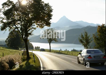 Autofahrt auf der alpinen Straße am Weisssensee bei Füssen, Schwaben, Bayern, Deutschland Stockfoto