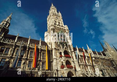 Blick vom Neuen Rathaus, München, Bayern, Deutschland, Europa Stockfoto