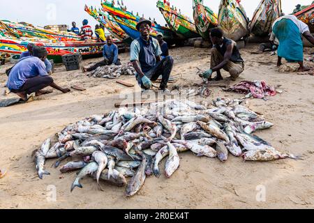 Fischer vor den bunten Fischerbooten, Cap Skirring, Casamance, Senegal Stockfoto