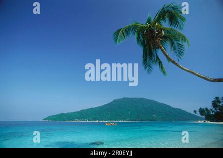 Palmen am Strand im Sonnenlicht, perhentianische Inseln, Pulau Perhentian, Malaysia, Asien Stockfoto