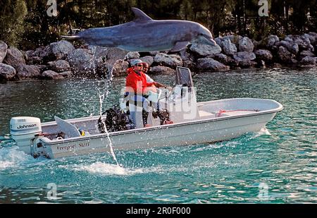 Springer Tümmler und Trainer, Tursiops truncatus Stockfoto