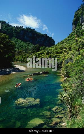 Kajakfahren, Pororari River, Paparoa National Park, Südinsel, Neuseeland Stockfoto