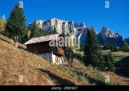 Berghütte an der alm, Sella, Dolomiten, Südtirol, Italien Stockfoto