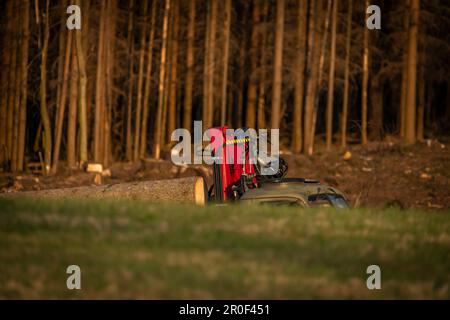 Ein alter tschechischer Lastwagen in der Nähe des Waldes am Frühlingsabend in den Krkonose-Bergen Stockfoto