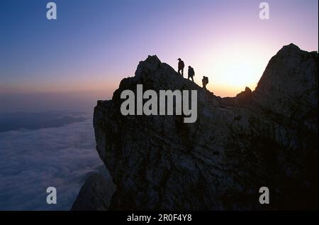 Wandergruppe auf Zugspitze, Alpen, Oberbayern, Deutschland Stockfoto