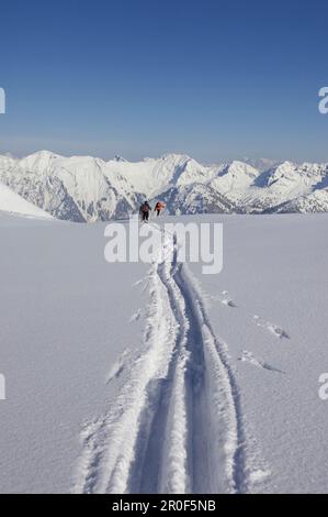 Skipisten auf Pulverschnee, Nebelhorn Mtn., Oberstdorf, Bayern, Deutschland Stockfoto