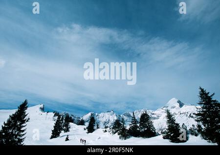 Skitour, Aufstieg nach Stuibenkopf, Alpspitze, Garmisch Partenkirchen, Deutschland Stockfoto