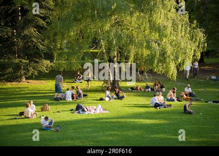 Menschen, die sich auf dem Gras des Burggartens, der Alten Hofburg, Wien, Österreich entspannen Stockfoto