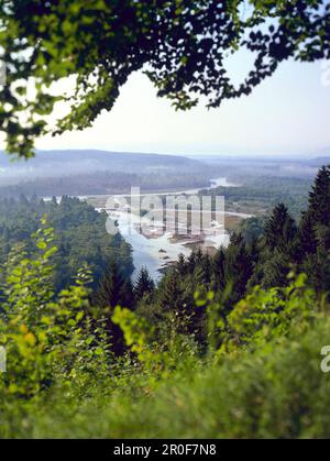 Blick auf die Isar, Pupplinger Au, nahe Wolfratshausen, Oberbayern, Deutschland Stockfoto