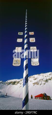 Low-Angle-Blick auf Maypole, Winter, Zugspitze, Oberbayern, Deutschland, Ansicht aus niedrigem Winkel Stockfoto