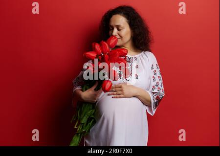 Glückliche schwangere Frau in traditionell besticktem ukrainischem Kleid, mit einem Strauß von Tulpen, streichelndem Bauch, roter Hintergrund Stockfoto