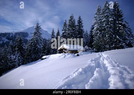 Alpine Skihütte im Schnee, mit der hohen Salbe im Hintergrund, Brixen im Thale, Alpen Tirol, Österreich Stockfoto