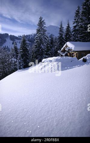 Alpine Skihütte im Schnee, mit der hohen Salbe im Hintergrund, Brixen im Thale, Alpen Tirol, Österreich Stockfoto