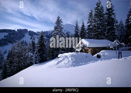 Alpine Skihütte und Skier im Schnee, mit der Hohe Salve im Hintergrund, Brixen im Thale, Alpen Tirol, Österreich Stockfoto