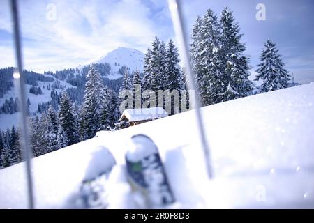 Skitour, Hohe Salve, Skifahren Bereich Brixen Im Thale, Tirol, Österreich Stockfoto