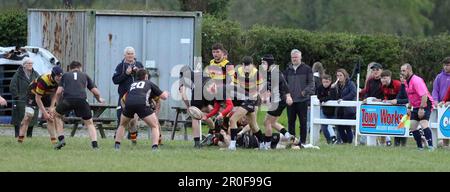 Carmarthen Quins RFC Youth gegen Burryport RFC Youth Scarlets Cup Finale 2023 Stockfoto