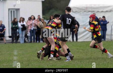 Carmarthen Quins RFC Youth gegen Burryport RFC Youth Scarlets Cup Finale 2023 Stockfoto