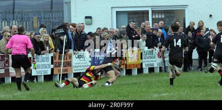 Carmarthen Quins RFC Youth gegen Burryport RFC Youth Scarlets Cup Finale 2023 Stockfoto