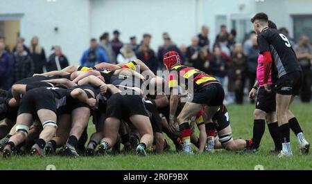 Carmarthen Quins RFC Youth gegen Burryport RFC Youth Scarlets Cup Finale 2023 Stockfoto