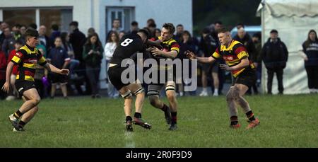 Carmarthen Quins RFC Youth gegen Burryport RFC Youth Scarlets Cup Finale 2023 Stockfoto