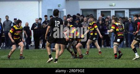 Carmarthen Quins RFC Youth gegen Burryport RFC Youth Scarlets Cup Finale 2023 Stockfoto