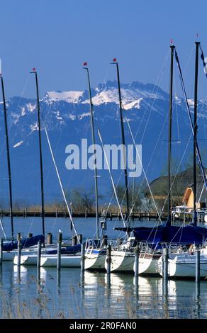 Segelboote im Seebrucker Hafen am Chiemsee mit Kampenwand im Hintergrund, Chiemgau, Oberbayern, Bayern, Deutschland Stockfoto
