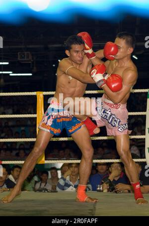 Thai-Boxen, Lumphini-Stadion, Bangkok, Thailand Stockfoto
