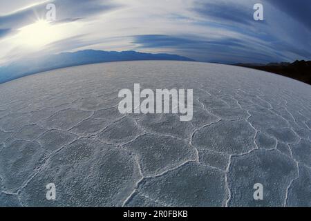 Salzpfanne in Badwater, Death Valley, Kalifornien, USA, Amerika Stockfoto